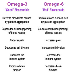 effects-of-eicosanoids-derived-from-omega-3-and-omega-6-fatty-acids
